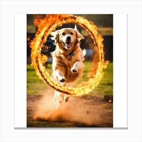 Golden Retriever Jumping Ring Canvas Print