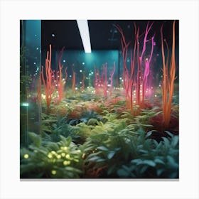 Symbiosis Canvas Print