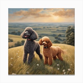 Two Poodles In A Field Canvas Print