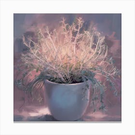 Sage In A Pot 1 Canvas Print