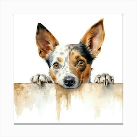 Australian Cattle Dog 6 Canvas Print