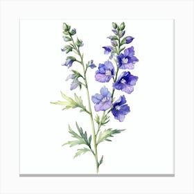 Foxglove Watercolor Painting Canvas Print