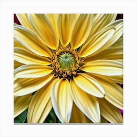 Dahlia 8 Canvas Print