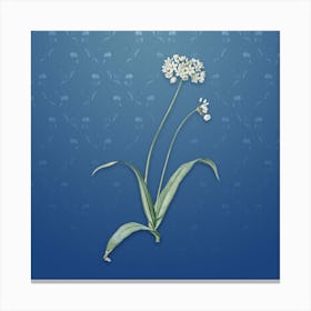 Vintage Spring Garlic Botanical on Bahama Blue Pattern n.1988 Canvas Print