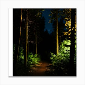 Path In The Woods At Night Canvas Print