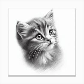 Purr-fectly Sketched Canvas Print