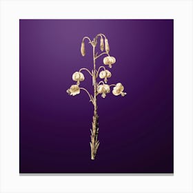 Gold Botanical Lilium Pyrenaicum on Royal Purple n.3403 Canvas Print