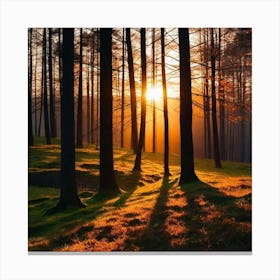 Sunset In The Forest 15 Canvas Print