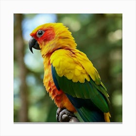 Colorful Parrot Toile