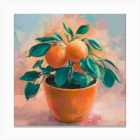 Oranges In A Pot 18 Canvas Print