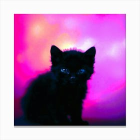 Black Kitten With Blue Eyes Canvas Print