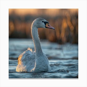 Swan Beak Canvas Print