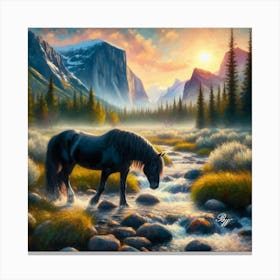 Black Stallion By Stream At Sunrise 4 Canvas Print