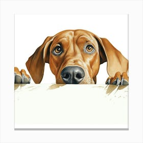 Rhodesian Ridgeback 1 Canvas Print