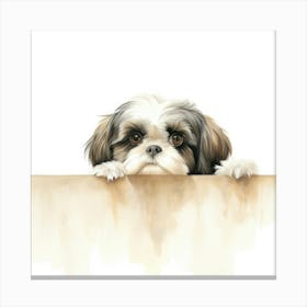 Shih Tzu 9 Canvas Print