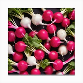 Radishes 3 Canvas Print