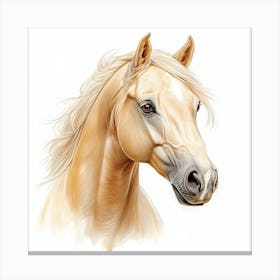 Palomino Horse Portrait 1 Canvas Print