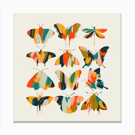 Colorful Butterflies Square Canvas Print