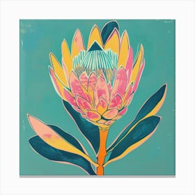 Protea 3 Square Flower Illustration Canvas Print