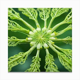 Fern Flower Canvas Print