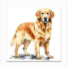 Golden Retriever 1 Canvas Print