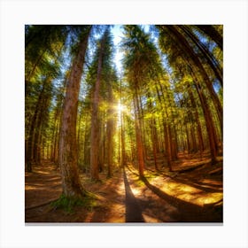 Hdr High Dynamic Range 1 Canvas Print