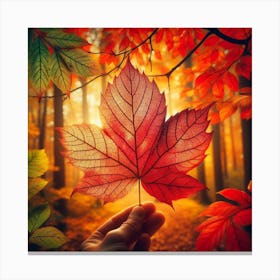 maple leaf of Autmn Canvas Print