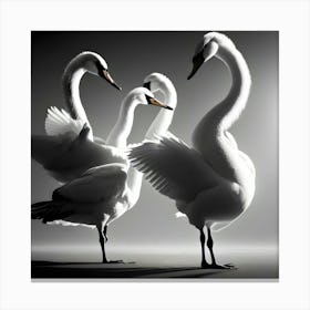 Swans In Flight Canvas Print