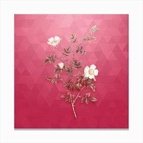 Vintage Pink Hedge Rose in Bloom Botanical in Gold on Viva Magenta n.0271 Canvas Print