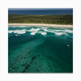 Sydney Coast Canvas Print