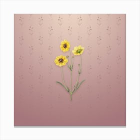 Vintage Perennial Dyer's Coreopsis Botanical on Dusty Pink Pattern n.0606 Canvas Print