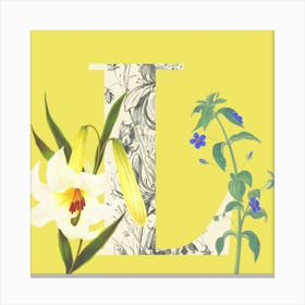 Botanical L Canvas Print