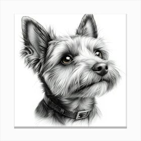 Yorkshire Terrier 1 Canvas Print