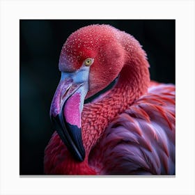 Flamingo 30 Canvas Print
