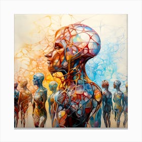 Human Morphology Canvas Print