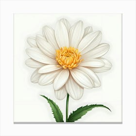 White Daisy 1 Canvas Print