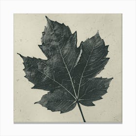 Maple Leaf Canvas Print