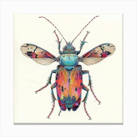 Beetle 10 Canvas Print