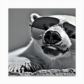 Polar Bear In Sunglasses 1 Canvas Print