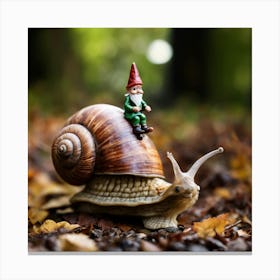 Gnome On A Snail Canvas Print