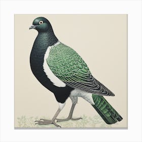 Ohara Koson Inspired Bird Painting Pigeon 1 Square Canvas Print