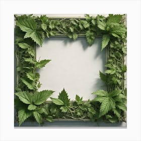 Ivy Frame 1 Canvas Print