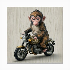 Monkey On A Motorcycle Canvas Print