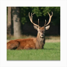 Red Deer - Red Deer Stock Videos & Royalty-Free Footage Canvas Print