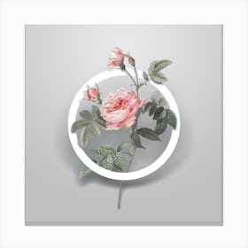 Vintage Pink Rose Turbine Minimalist Botanical Geometric Circle on Soft Gray n.0360 Canvas Print