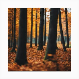 Autumn Forest Canvas Print