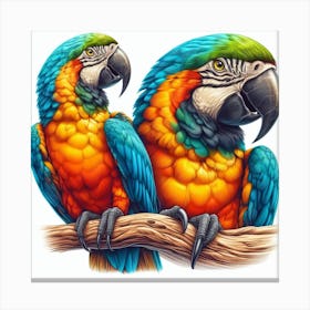 Parrot of Macaw Canvas Print