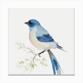 Blue Jay Canvas Print