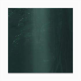 Indian Forest Canvas Print