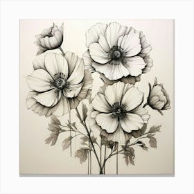 Black And White Drawing Of Flowers Canvas Print